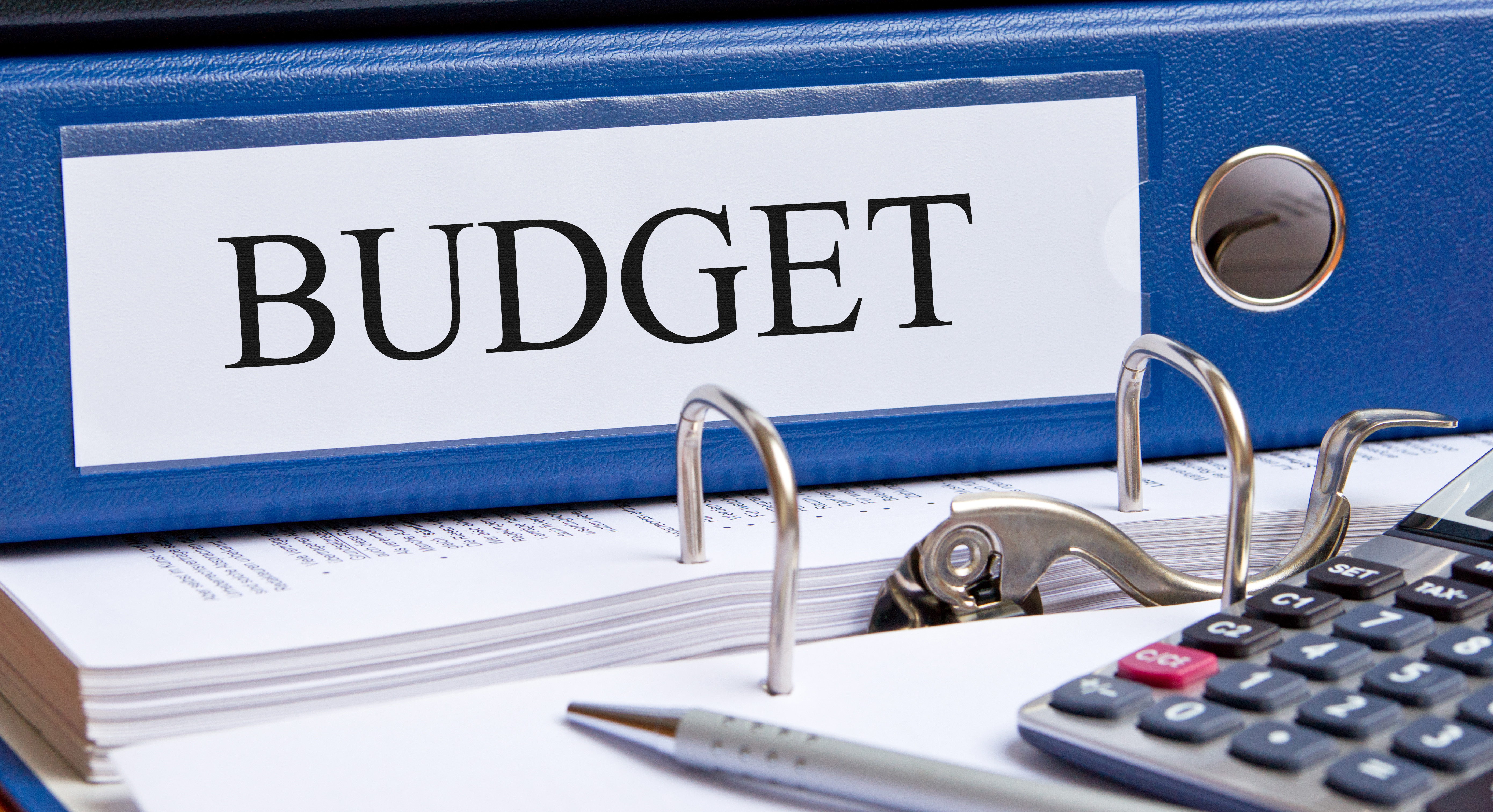 Would you like to have a budget for your business, but don’t know where to start?